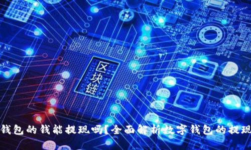 数字钱包的钱能提现吗？全面解析数字钱包的提现功能