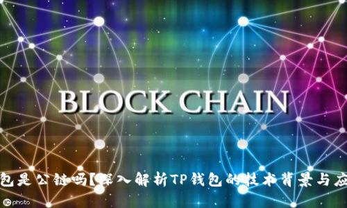 : TP钱包是公链吗？深入解析TP钱包的技术背景与应用场景