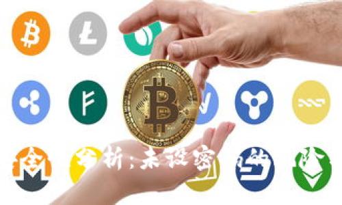 数字钱包安全性分析：未设密码的风险与应对策略