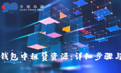 如何在TP钱包中租赁资源：详细步骤与实用指南