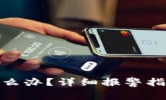 TP钱包被盗怎么办？详细报警指南与预防措施