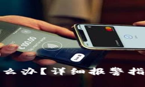 TP钱包被盗怎么办？详细报警指南与预防措施