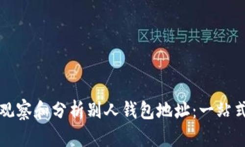 如何观察和分析别人钱包地址：一站式指南