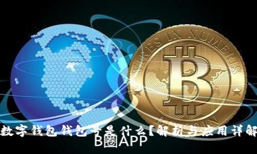 数字钱包钱包号是什么？解析与应用详解
