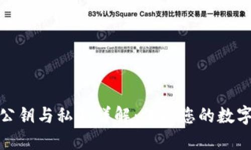 : TP钱包公钥与私钥详解：保护您的数字资产安全
