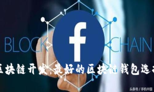 北京区块链开发：最好的区块链钱包选择指南