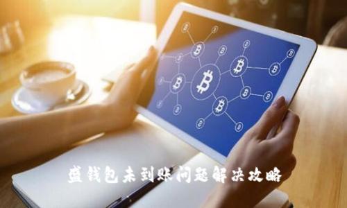 盛钱包未到账问题解决攻略