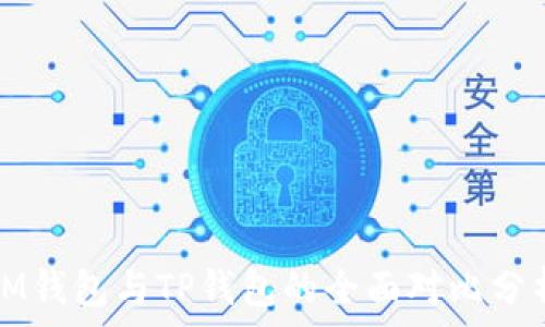  
IM钱包与TP钱包的全面对比分析