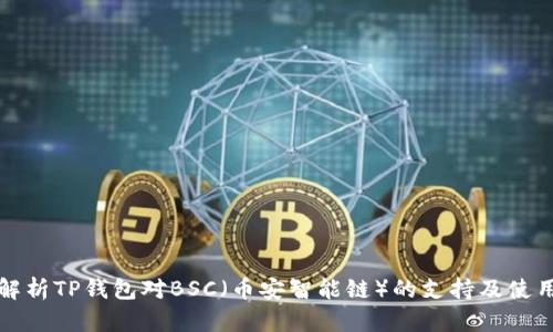 全面解析TP钱包对BSC（币安智能链）的支持及使用指南