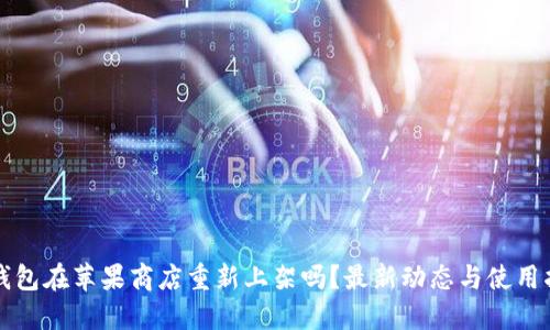 TP钱包在苹果商店重新上架吗？最新动态与使用指南