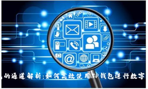 : TP钱包的通道解析：如何高效使用TP钱包进行数字资产管理