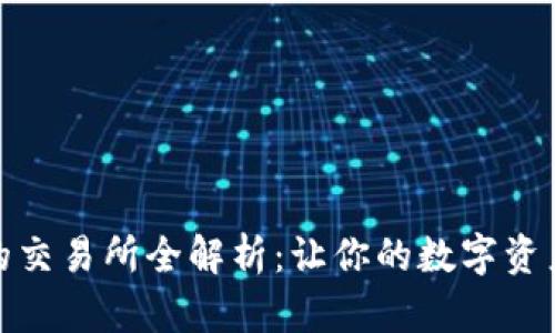 : TP钱包支持的交易所全解析：让你的数字资产交易更加高效