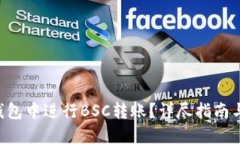 如何在TP钱包中进行BSC转账？详尽指南与实用技巧