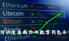 如何快速查找你的数字钱包余额？
