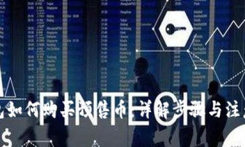 TP钱包如何购买预售币：详解步骤与注意事项