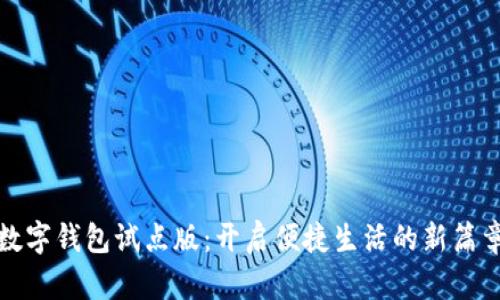 数字钱包试点版：开启便捷生活的新篇章