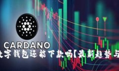 2023年数字钱包还能下款吗？最新趋势与操作指南