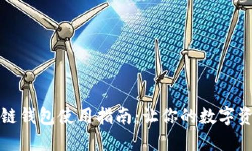 卡片式区块链钱包使用指南：让你的数字资产安全无忧