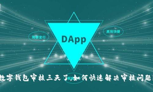 数字钱包审核三天了，如何快速解决审核问题？