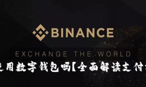 大润发购物能使用数字钱包吗？全面解读支付方式与优惠活动