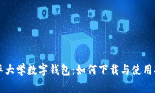 清华大学数字钱包：如何下载与使用指南