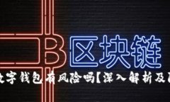 转账给数字钱包有风险吗？深入解析及防范措施