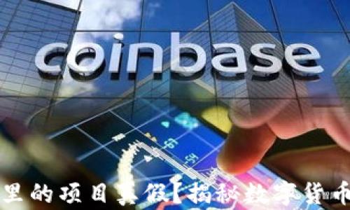 怎么辨别TP钱包里的项目真假?揭秘数字货币投资的明智之路