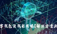 数字钱包没钱能用吗？解决方案大全