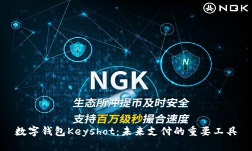 数字钱包Keyshot：未来支付的重要工具