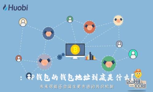 : TP钱包的钱包地址到底是什么？