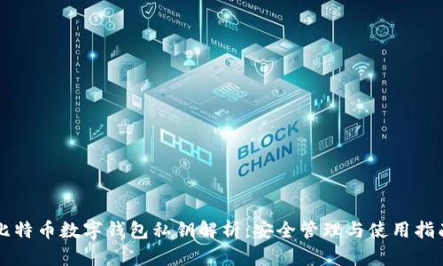 比特币数字钱包私钥解析：安全管理与使用指南