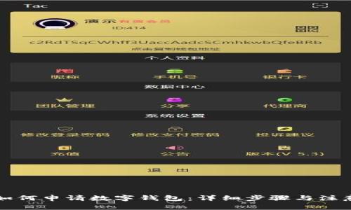 成都如何申请数字钱包：详细步骤与注意事项