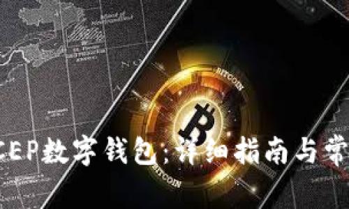 如何下载DCEP数字钱包:详细指南与常见问题解答