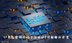 tP钱包密码忘记了怎么办？详解解决方案
