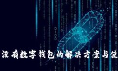 支付宝没有数字钱包的解决方案与使用技巧