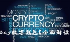 如何使用eBay数字钱包？全面解读和操作指南