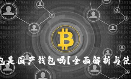 t p钱包是国产钱包吗？全面解析与使用指南