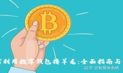 如何利用数字钱包撸羊毛：全面指南与策略