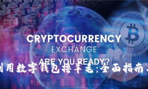 如何利用数字钱包撸羊毛：全面指南与策略