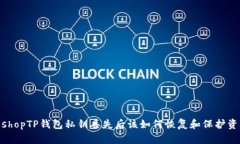 bishopTP钱包私钥丢失后该如何恢复和保护资产