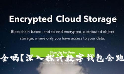 数字钱包安全吗？深入探讨数字钱包会跑路的可能性