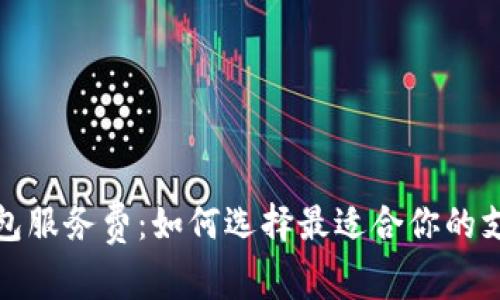 数字钱包服务费：如何选择最适合你的支付方式