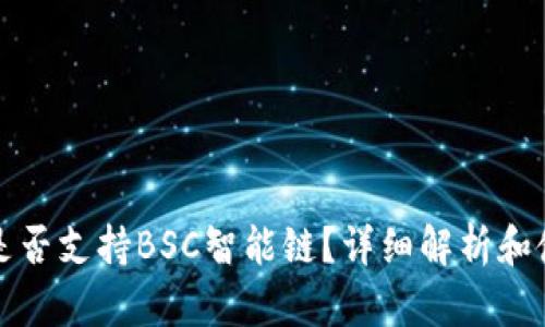 TP钱包是否支持BSC智能链？详细解析和使用指南
